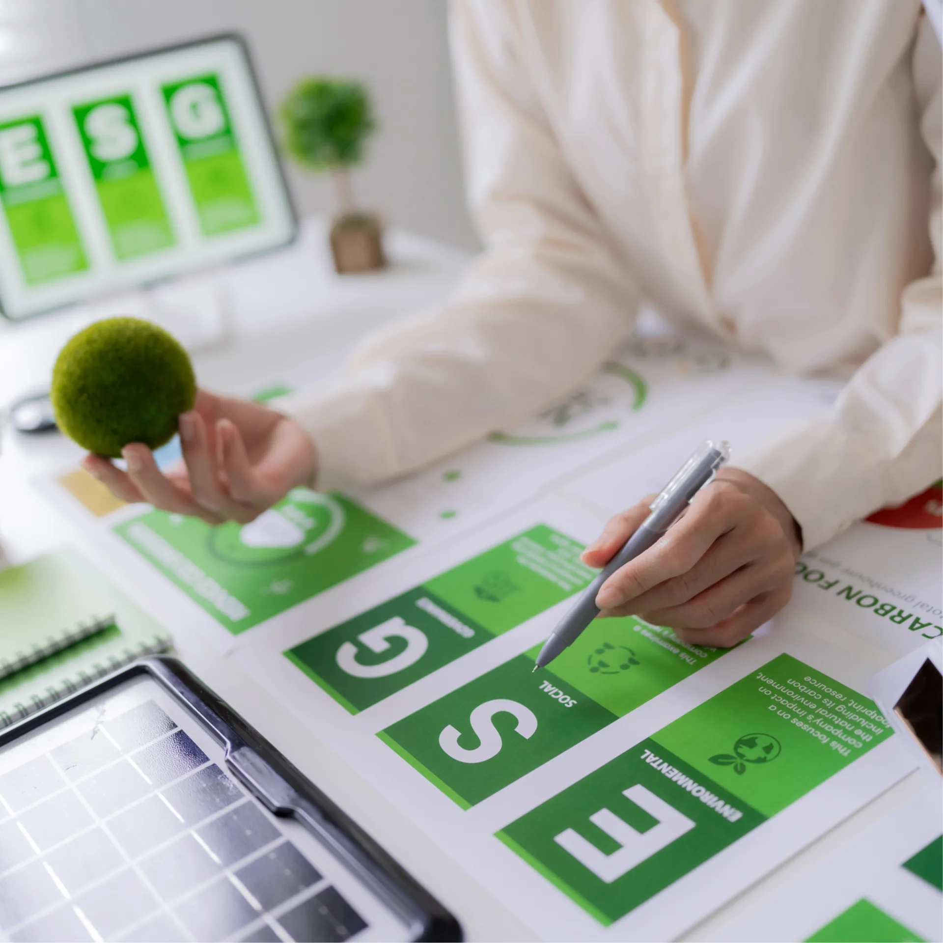 ESG- und SFDR-konforme Vermögensmanagement in der Schweiz